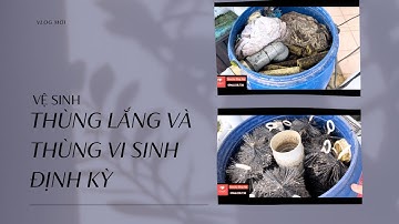 Vệ sinh định kỳ bộ lọc nuôi cá vàng và những điều cần biết #goldfish #ranchu_goldfish #camheo