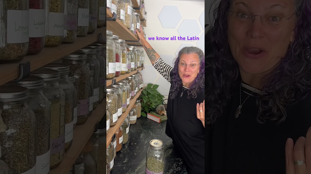 how do you remember the latin names? 🤓 