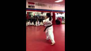Jiejies Advanced Brown Belt Test