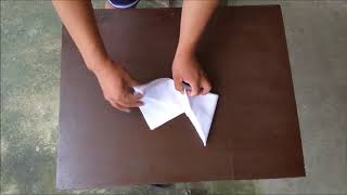 Celebrity 7 Basic Table Napkin Folding Wealth