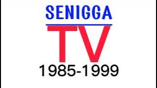 Metamorfosa logo Se-NIGGA TV