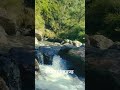 #love #nature #sky #green earth #earth #water #fun #universe