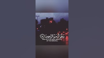 فالله خير حافظا وهو أرحم الراحمين 🍁 حالات واتس اب دينية قصيرة مؤثرة قرآن كريم تلاوة خاشعة انستا