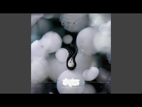 Ver Window en YouTube Ver Window en YouTube