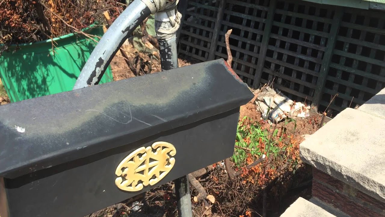 The mailman refuses to close the mailbox - YouTube