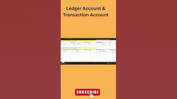 Ledger Account & Transaction Account