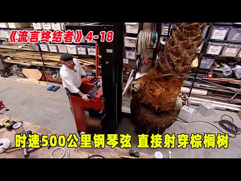 流言终结者：时速500公里的钢琴弦，直接射穿棕榈树，威力相当惊人！（S4E18）