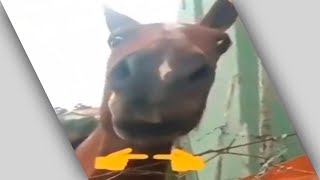 JUAN 👉👈