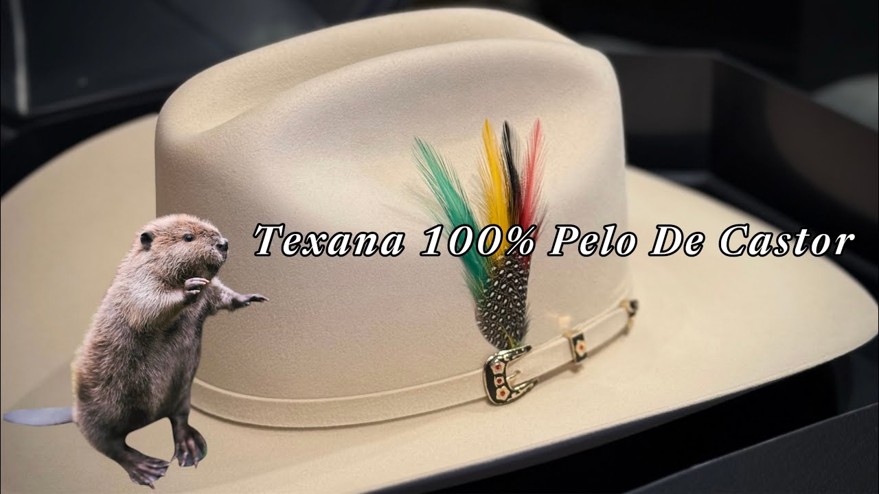 Texana West Point 100% Castor 500X🦫 #sombreros #vaqueros #sombrerosvaqueros #westernhats
