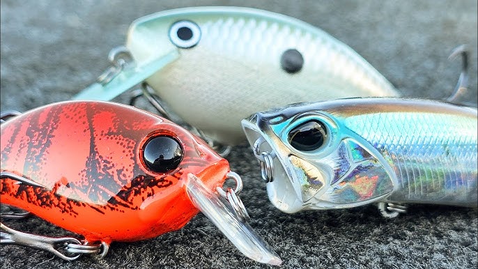 Best Ways To Store Tackle - Buyer's Guide 