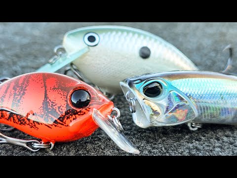 ผลสลากกินแบ่งรัฐบาล วันที่ 1 พย. 2567