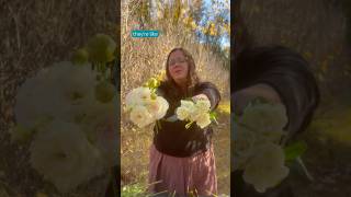 Day 99 100 Days 100 Bouquets Move Over Roses, Lisianthus Is Here