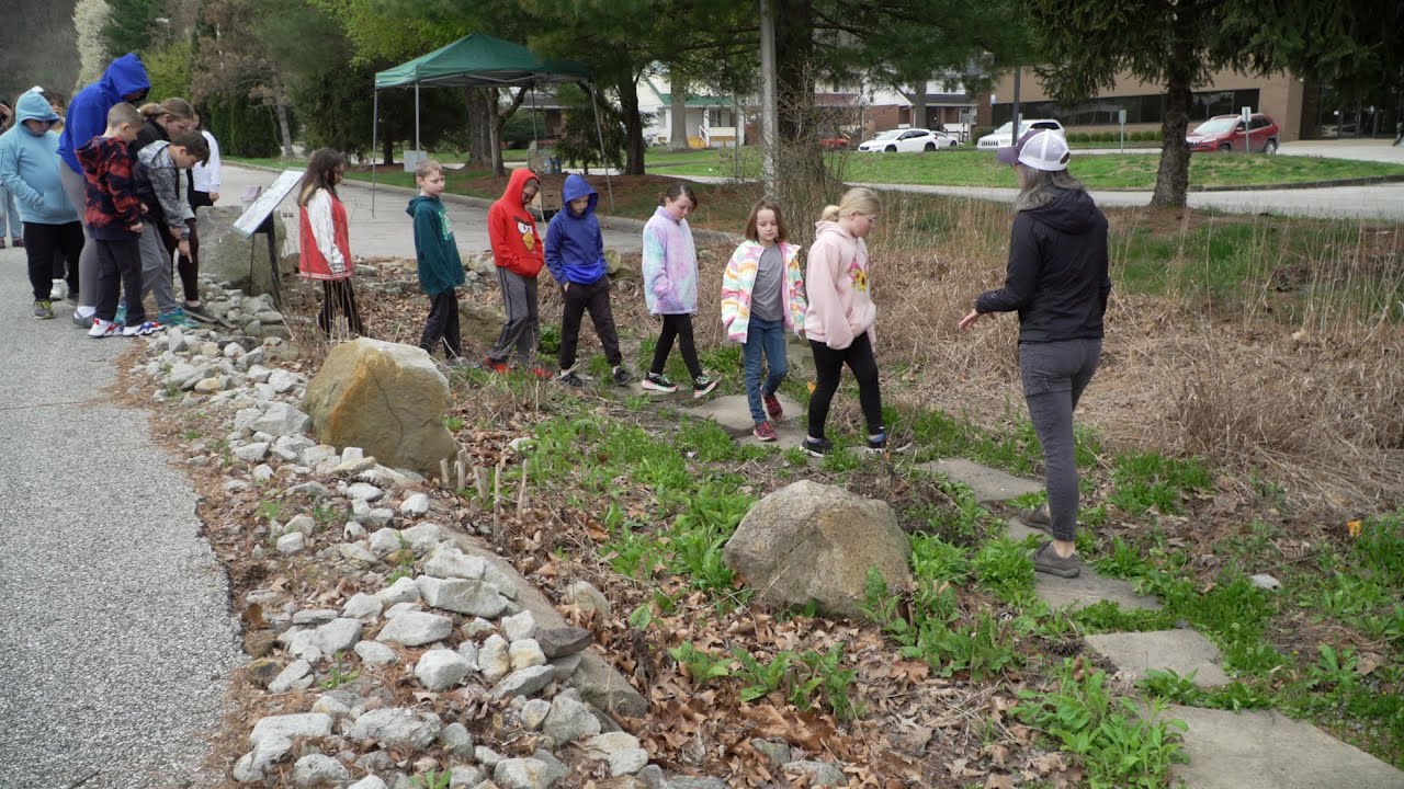 Environment Matters - World Water Day Celebration