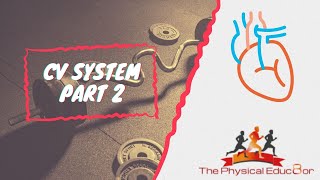 Physical Educ8or: IB SEHS: Cardiovascular System Part 2