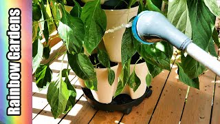 Vertical Garden Watering Tip (my personal experience), GreenStalk