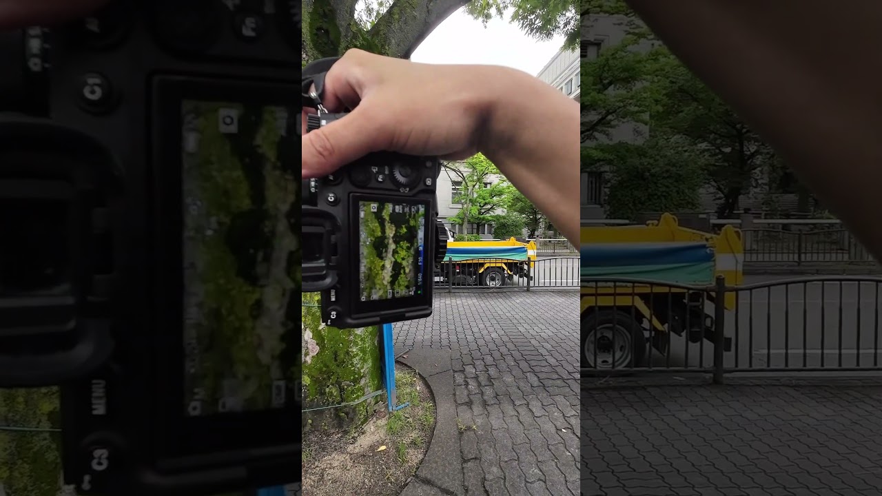 都市じゃなくても撮るものはきっと見つかります
