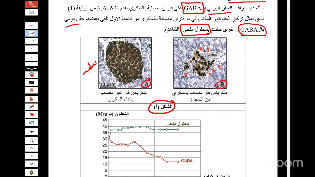 نموذج مقترح رقم 02 علوم الفصل الأول 2 ع ت