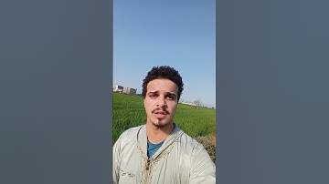 إن الله وملآئكته يصلون على النبى || القارئ أحمد بن عبد العزيز