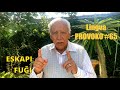 Lingva Provoko n-ro 65 (FUĜI kaj ESKAPI)