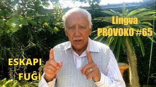 Lingva Provoko n-ro 65 (FUĜI kaj ESKAPI)
