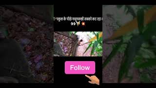 #minivlog #minivlogs #minivlogger #statemnd#minivlogseries #project50days #viral #youtube