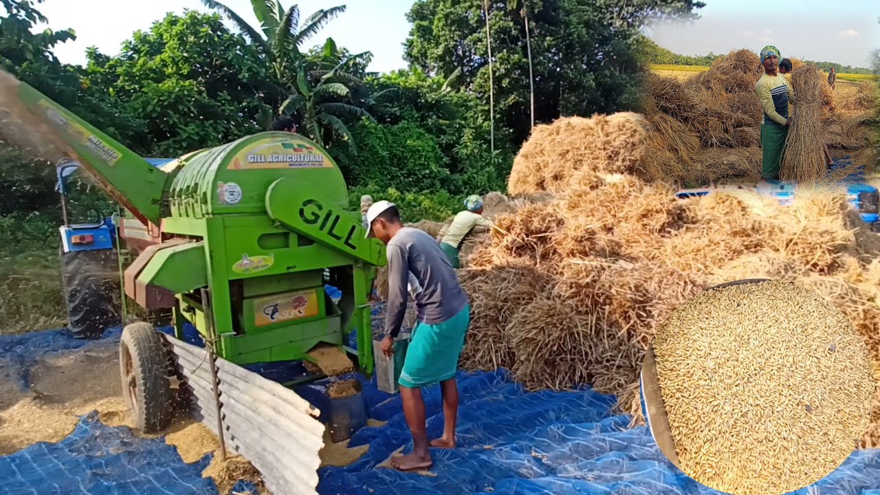 Gill paddy thresher 7 fan models | Aaj pahli baar salu hone bahla hai