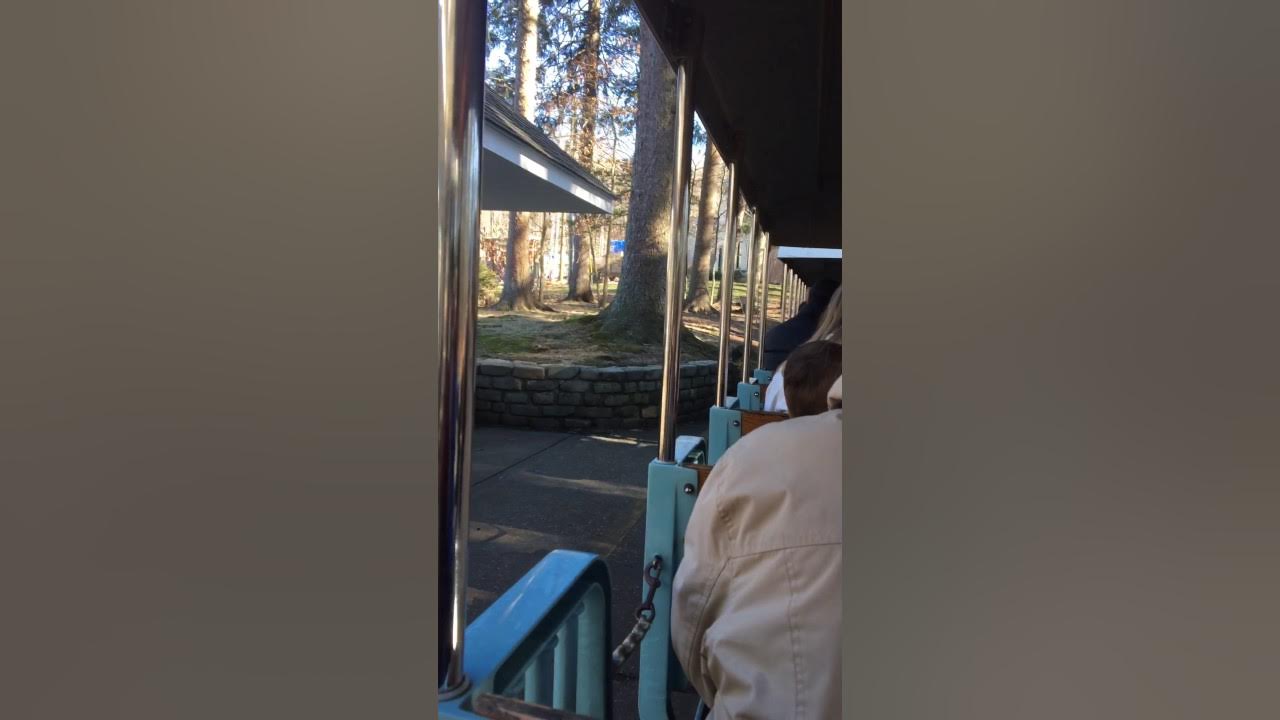 Turtle back zoo train ride YouTube