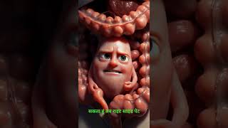 Appendix Anatomy in Hindi | Structure & Location Explained