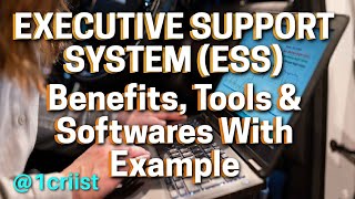 Strategic Excellence with Executive Support Systems (ESS) | Tools & Software