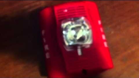 My System Sensor Spectralert SPSR speaker strobe