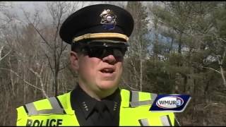 1 killed when tree crushes truck