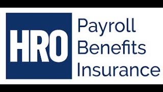 Human Resource Outsourcing (HRO) Human Resource Outsourcing (HRO)