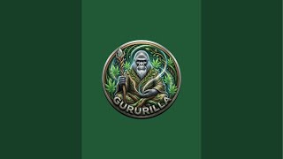 Gururilla is live