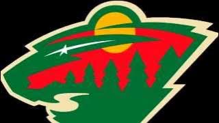 Minnesota Wild Goal Horn (2014-15)