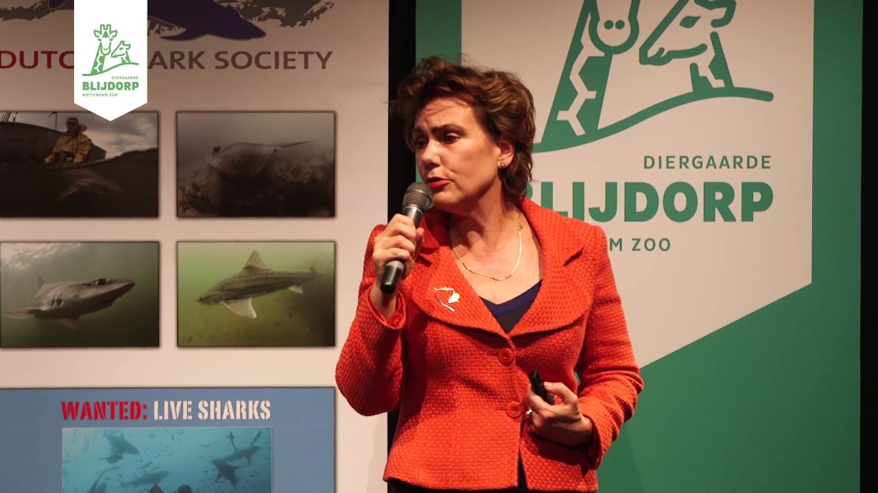 Samenvatting van Blijdorp College 'Save our sharks'