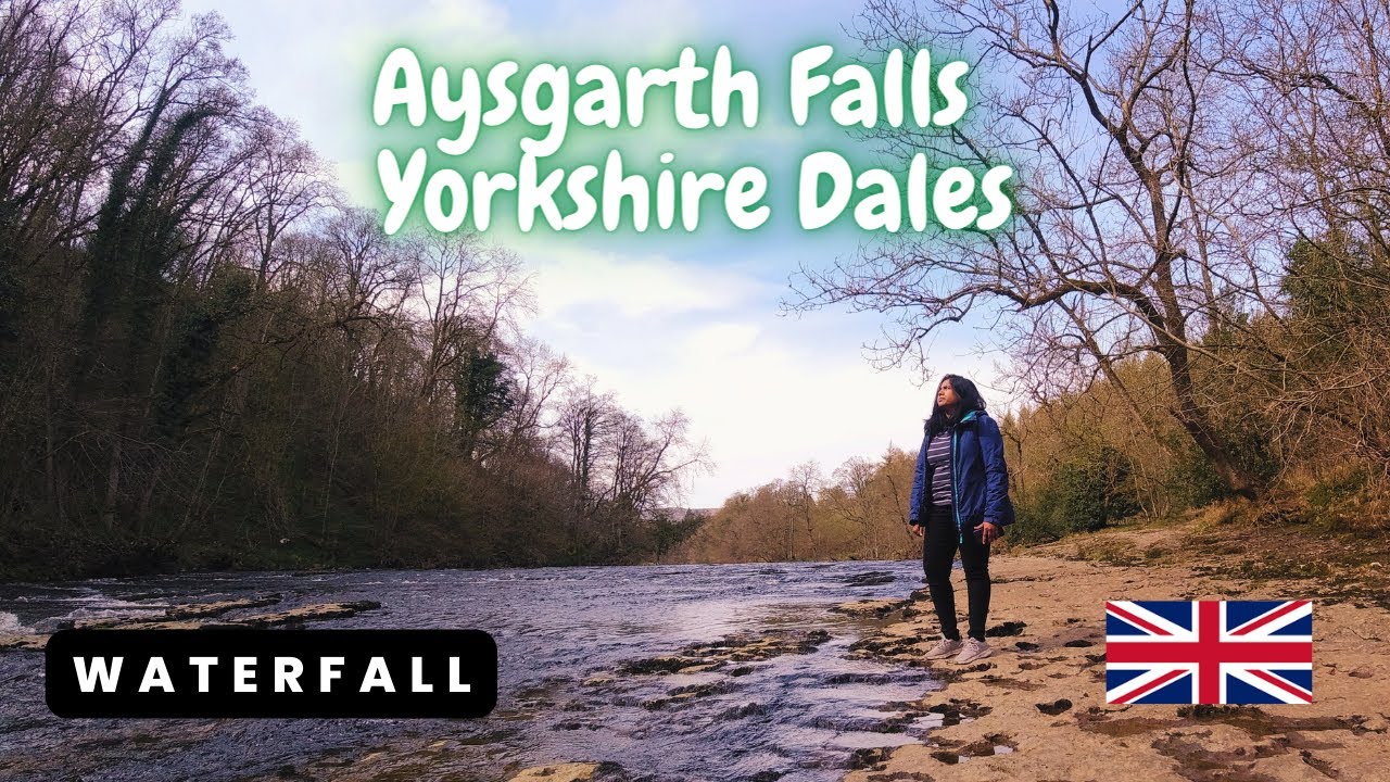 England's Beautiful Waterfall 🏞️ AYSGARTH FALLS 😍😍 Yorkshire Dales|| Wild Waterfalls