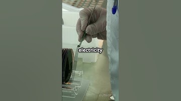 master semiconductors in 60 seconds #neet #physicssirjee #mrsirphysicswallah #mrsir #mrbeast #reneet