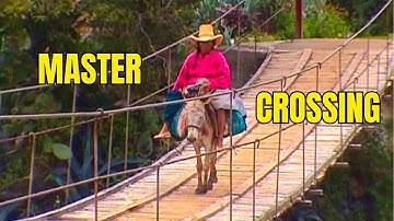 Are You Brave Enough To Cross This Terrifying Wooden Bridge