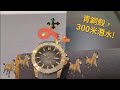 「龍🐎🐎🐎🐎精神!」威尼斯人青銅300米潛水錶，仲用瑞士機芯，真係好醒神! Venezianico Nereide Bronzo