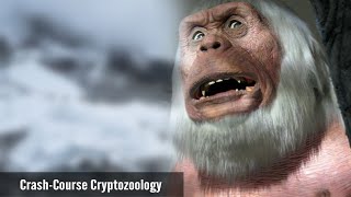 The White Yeti Fallacy