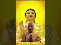 AI CHỬI MẮNG THÌ TA GIẢ ĐIẾC.