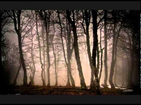 Wermut — Wermut - an die natur