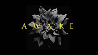 AWAKE by Ode | from the album 'The Whole Inside' (Official Video)