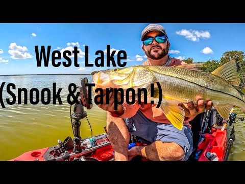 Flamingo West Lake Everglades 2! (snook & tarpon)