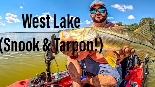 Flamingo West Lake Everglades 2! (snook & tarpon)