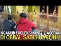 BIKIN GEMPAR ! RUMAH MURAI BATU OBRAL TERSADIS HARI INI BUKAN DI PASAR BURUNG PRAMUKA