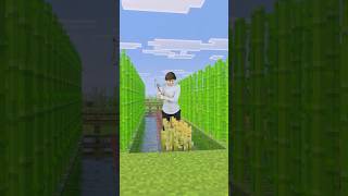 Types of Minecraft players