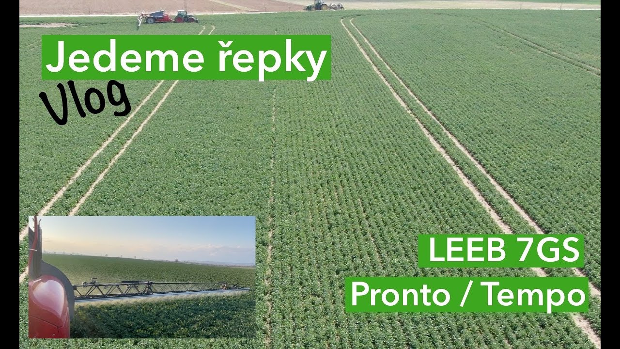 Vlog - Jedeme řepky  - porovnání porostů založených 50 cm Tempo vs. klasická sečka
