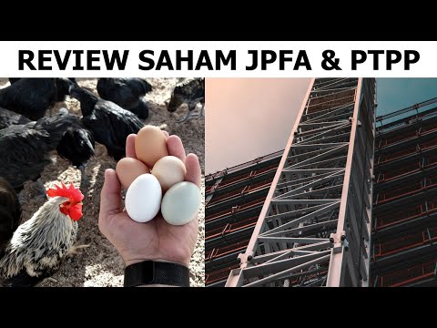 【Trading Saham】Review Saham JPFA dan PTPP