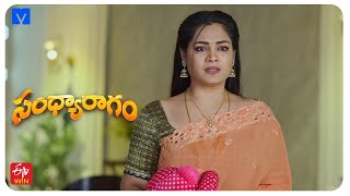 Sandhya Ragam Latest Promo - 14Th January 2026 In Etv Telugu At 1230 Pm - Mallemala Tv